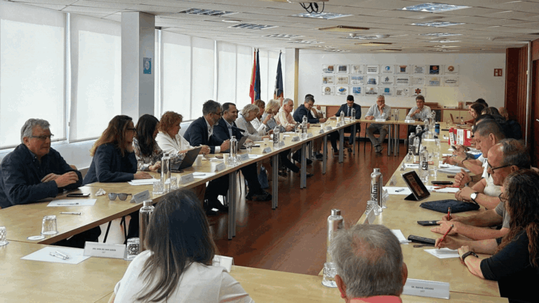 junta directiva header fehm.gif